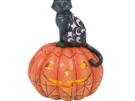 Black Cat on Pumpkin LED Fig Sale