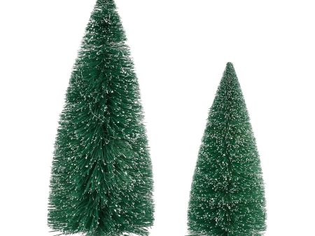 Blue Spruce Pines S 2 Supply