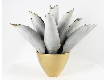 Tommy Mitchell Agave Large 001LAGV on Sale