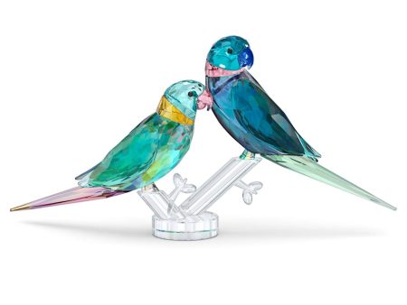 Swarovski Crystal Jungle Beats Parakeet Couple Fife & Fifer 5577124 Online Sale