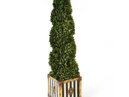 MacKenzie Childs Swirl Topiary Supply