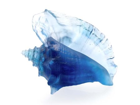 Daum Crystal Large Shell 05710 Hot on Sale