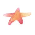 Daum Crystal Amber Red Mer De Corail Starfish 05711-1 For Sale